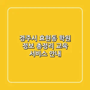 경주시 효현동 학원 정보 총정리 - 교육 서비스 안내