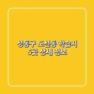 성동구 도선동 학습지 5곳 상세 정보