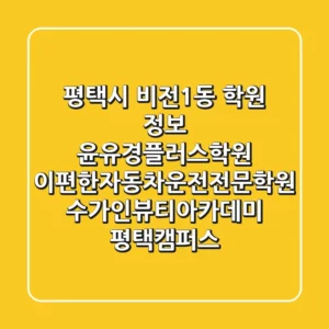 평택시 비전1동 학원 정보: 윤유경플러스학원, 이편한자동차운전전문학원, 수가인뷰티아카데미 평택캠퍼스