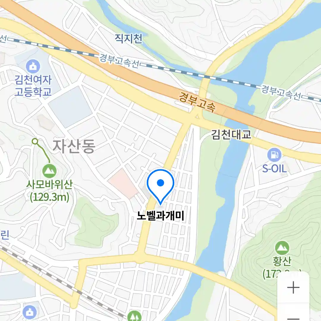 노벨과개미 위치