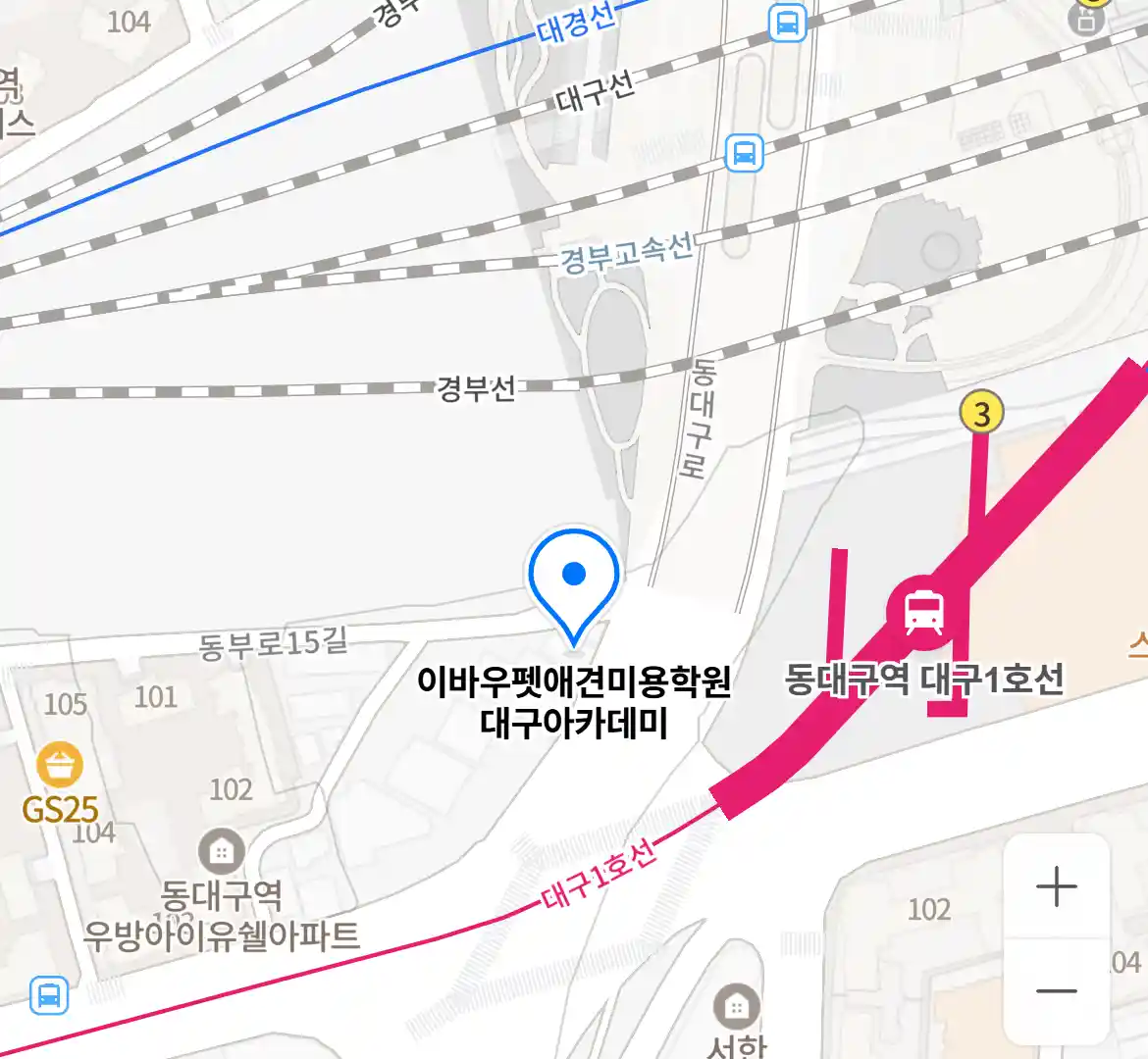 이바우펫애견미용학원 대구아카데미 위치