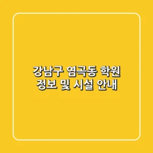 강남구 염곡동 학원 정보 및 시설 안내