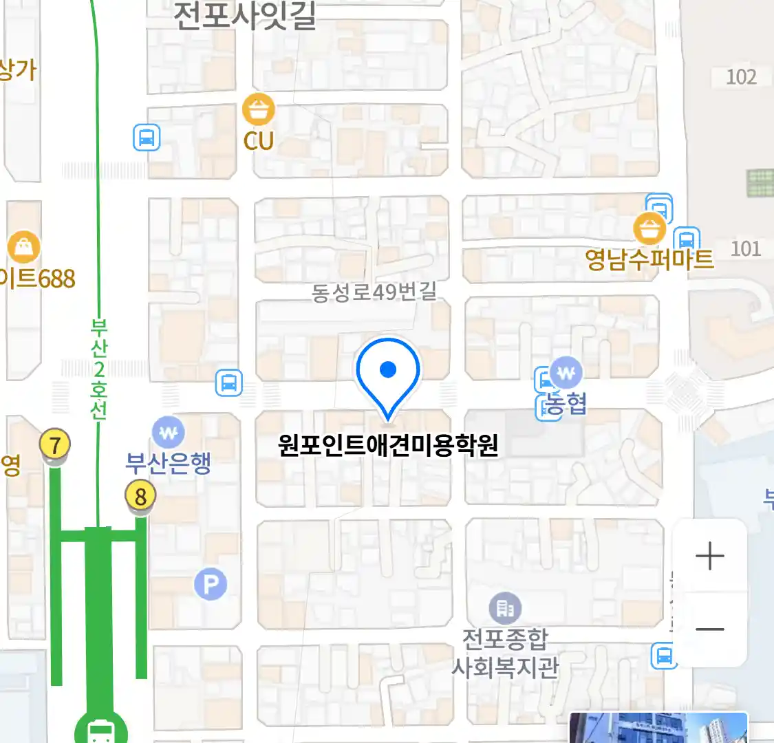 원포인트애견미용학원 위치