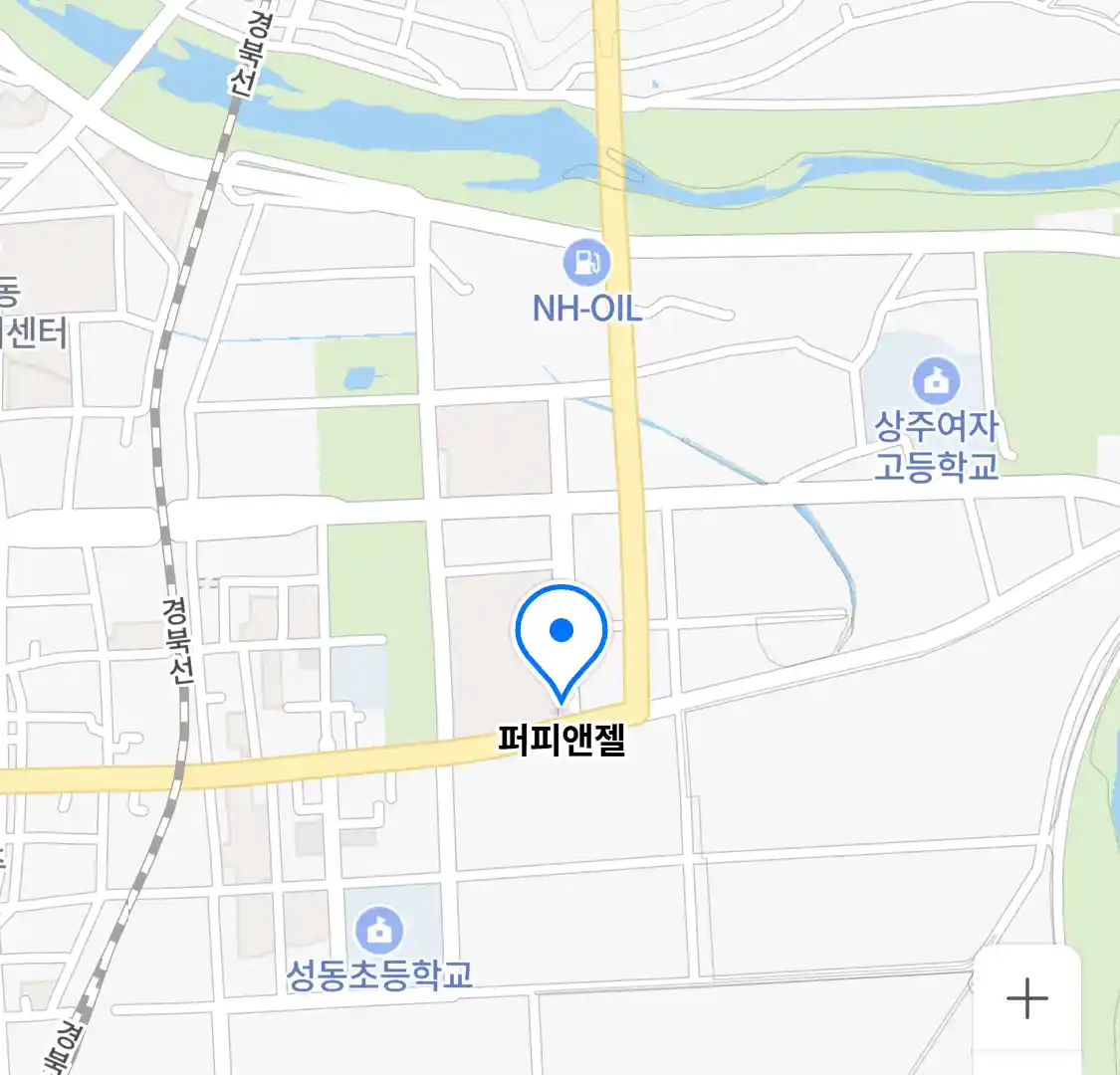 퍼피앤젤 위치