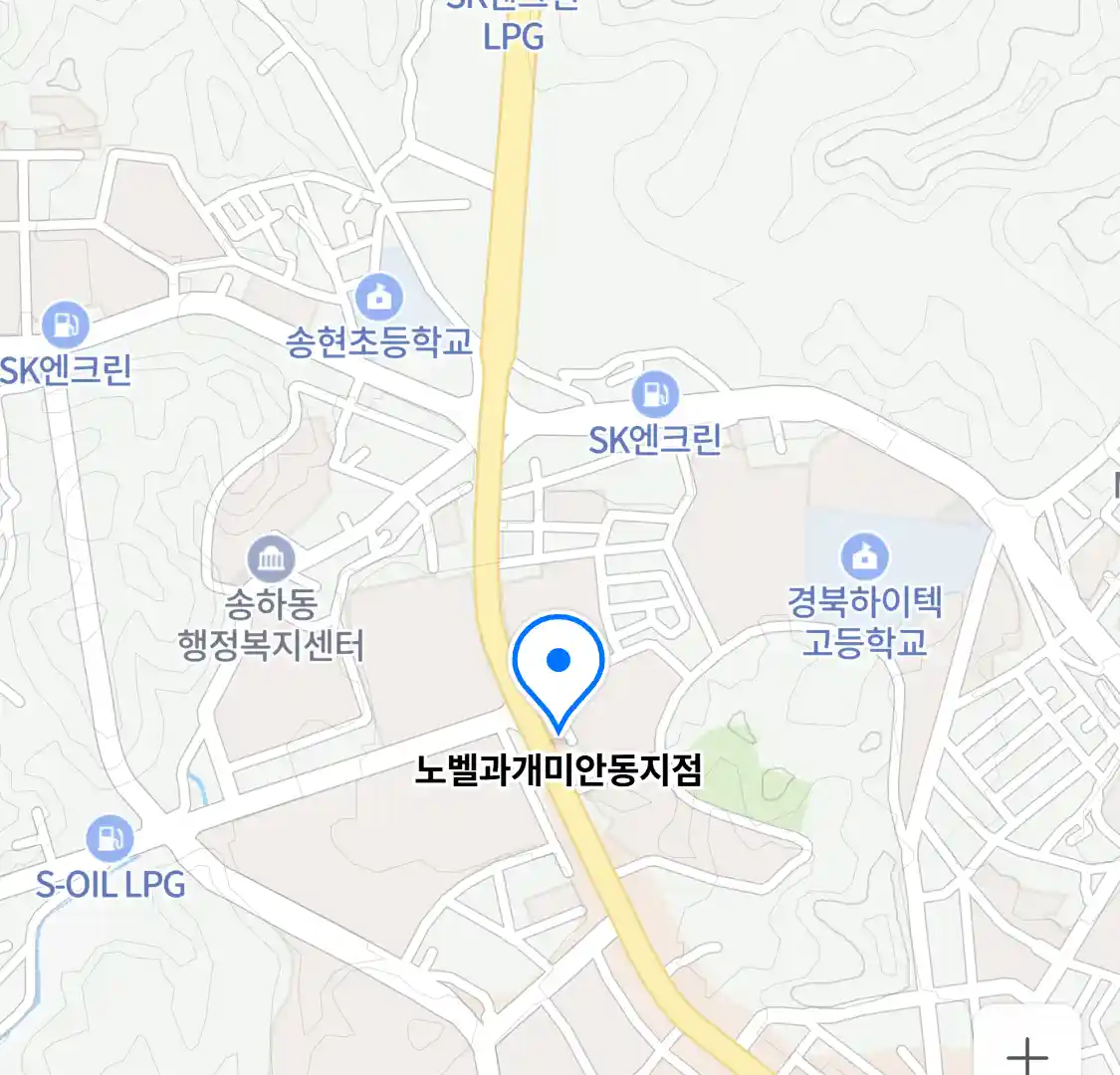 노벨과개미안동지점 위치