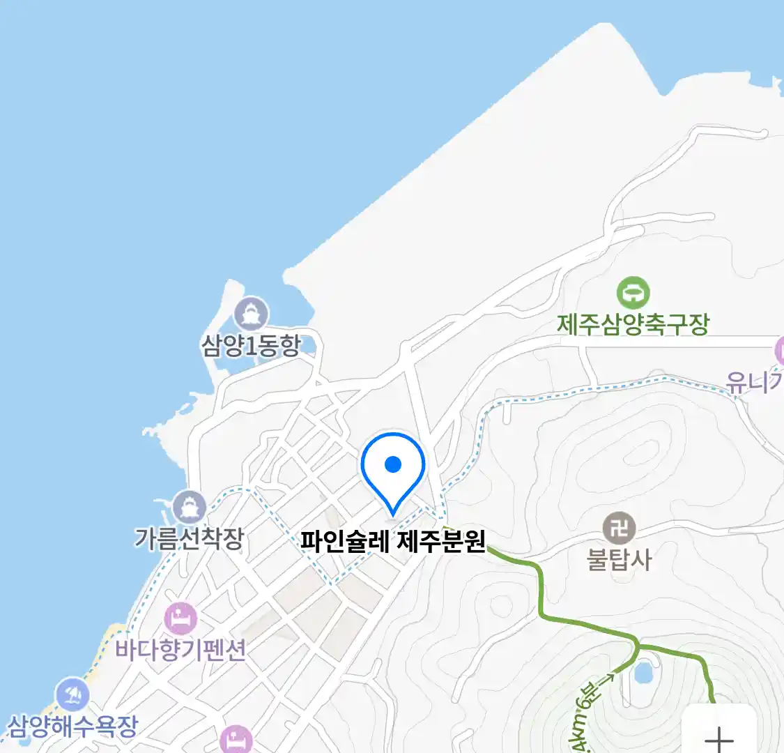 파인슐레 제주분원 위치