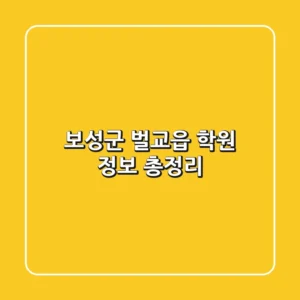 보성군 벌교읍 학원 정보 총정리