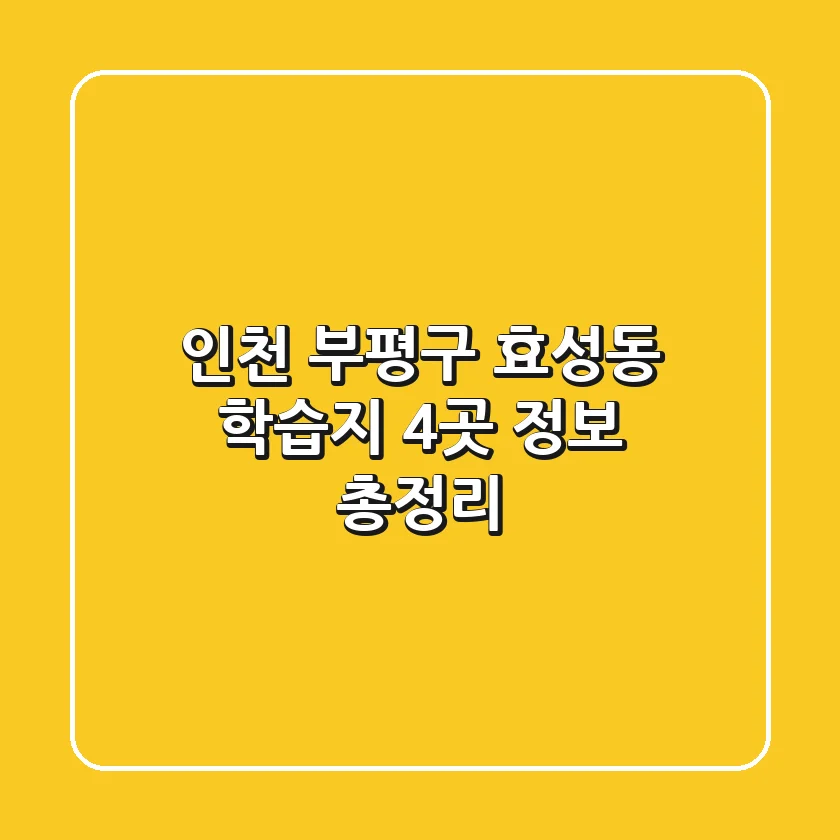 인천 부평구 효성동 학습지 4곳 정보 총정리