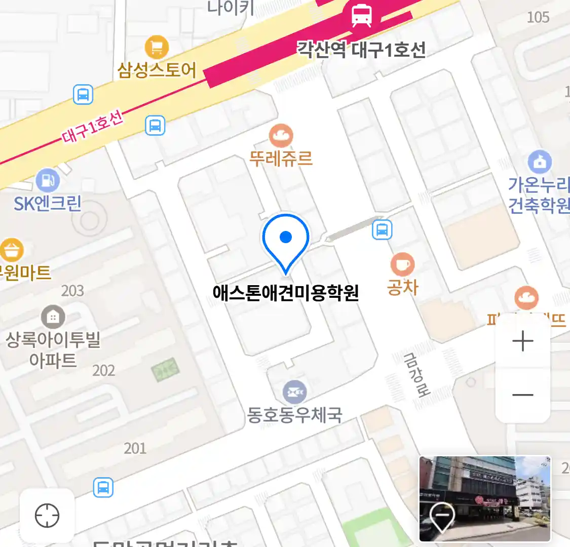 애스톤애견미용학원 위치