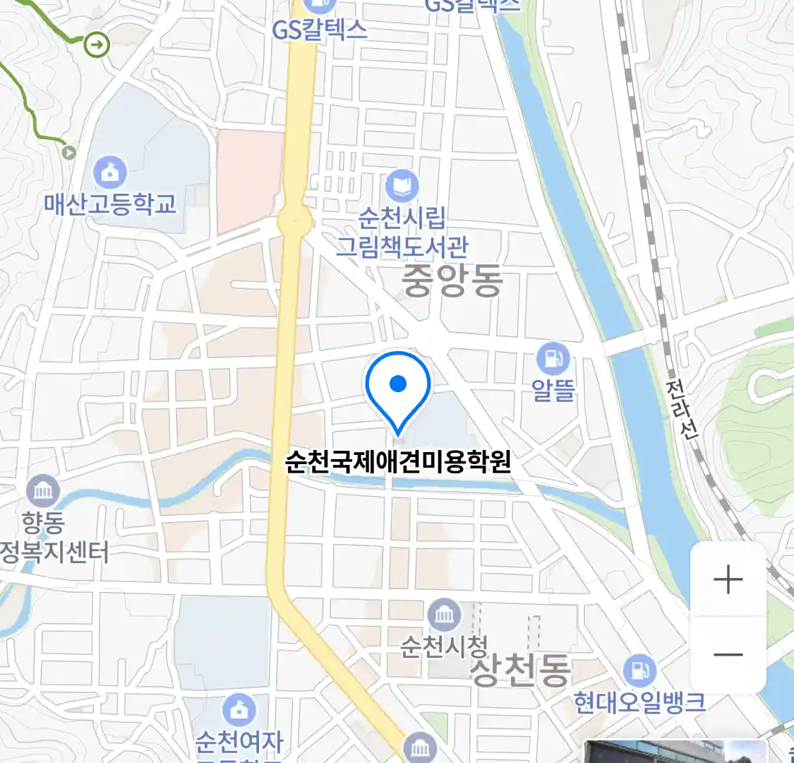 순천국제애견미용학원 위치